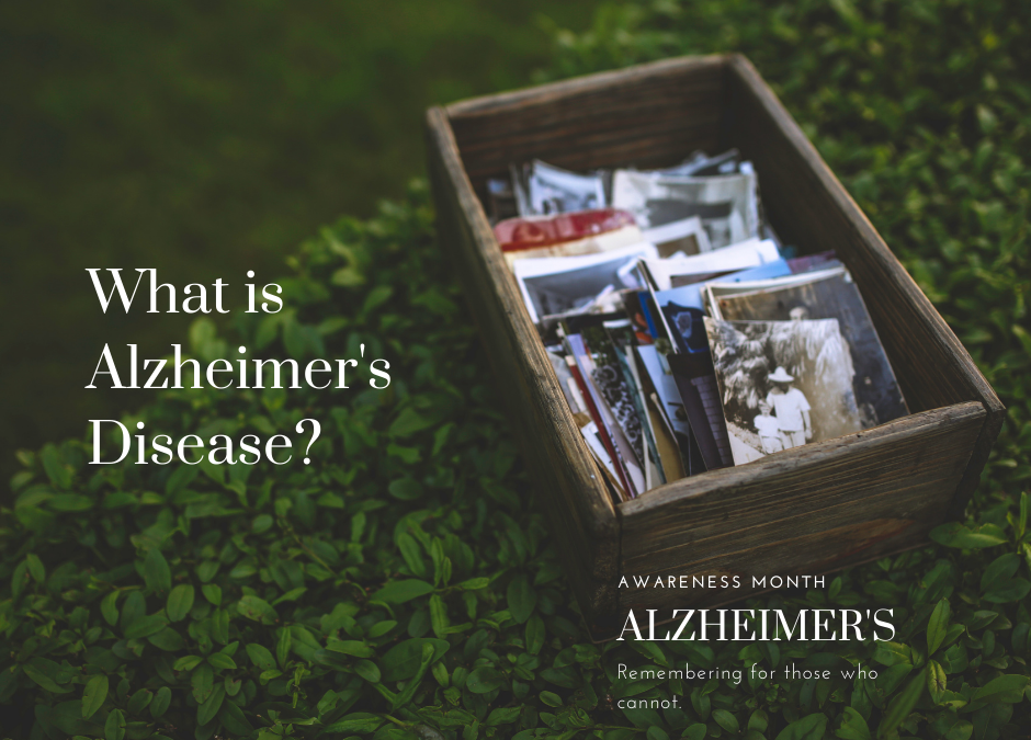 Learn more about Alzheimer’s disease in our first installment of Premier Pulse.